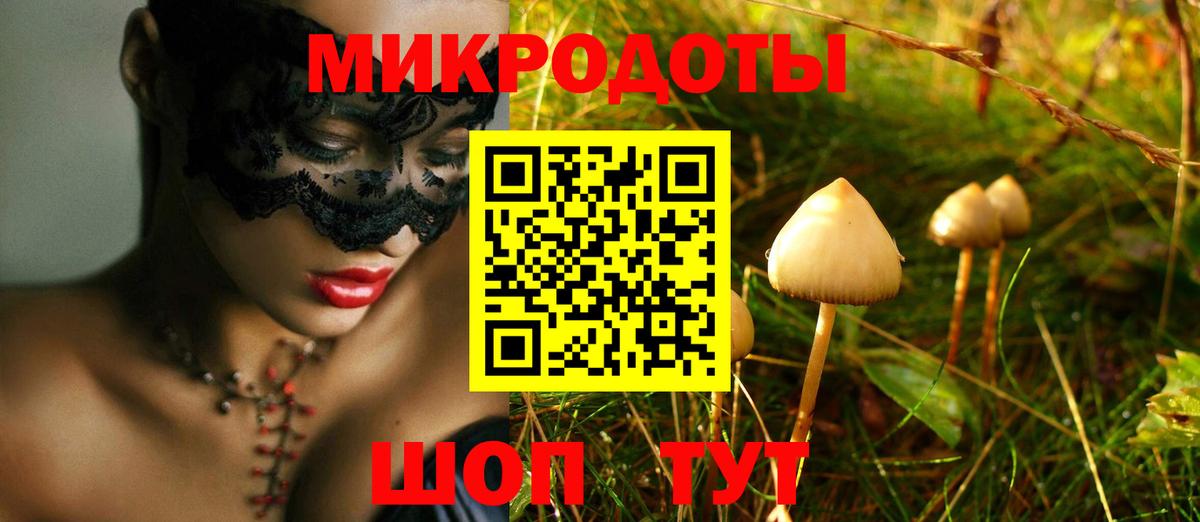 Галлюциногенные грибы Psilocybine cubensis Зеленогорск